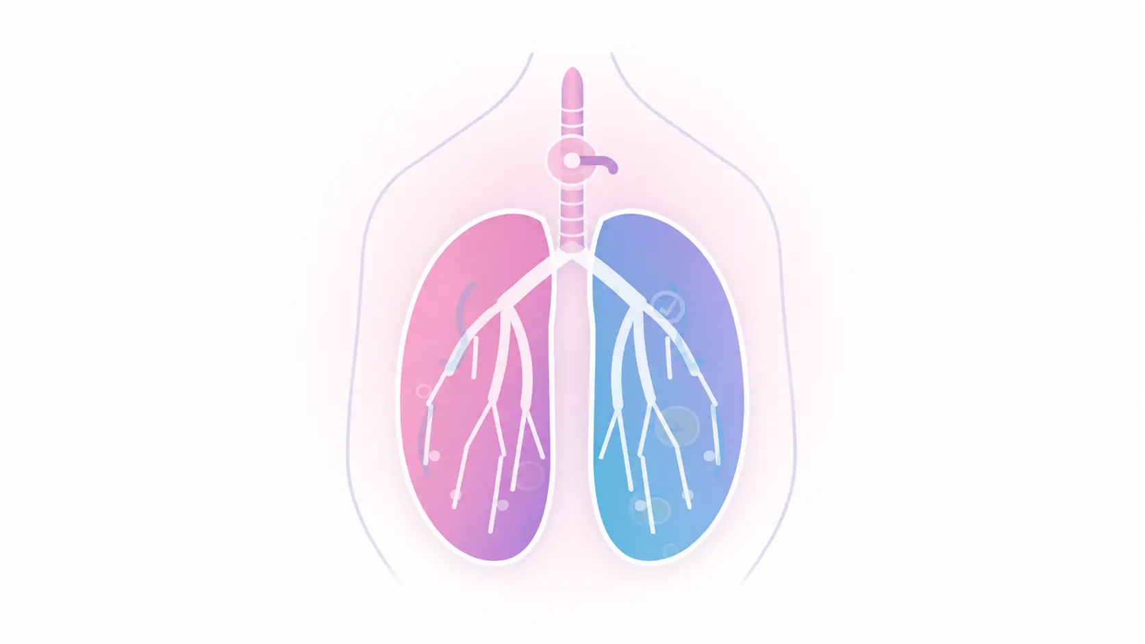 Illustration of the lungs and airways representing respiratory care and breathing support provided by Komplex Care.