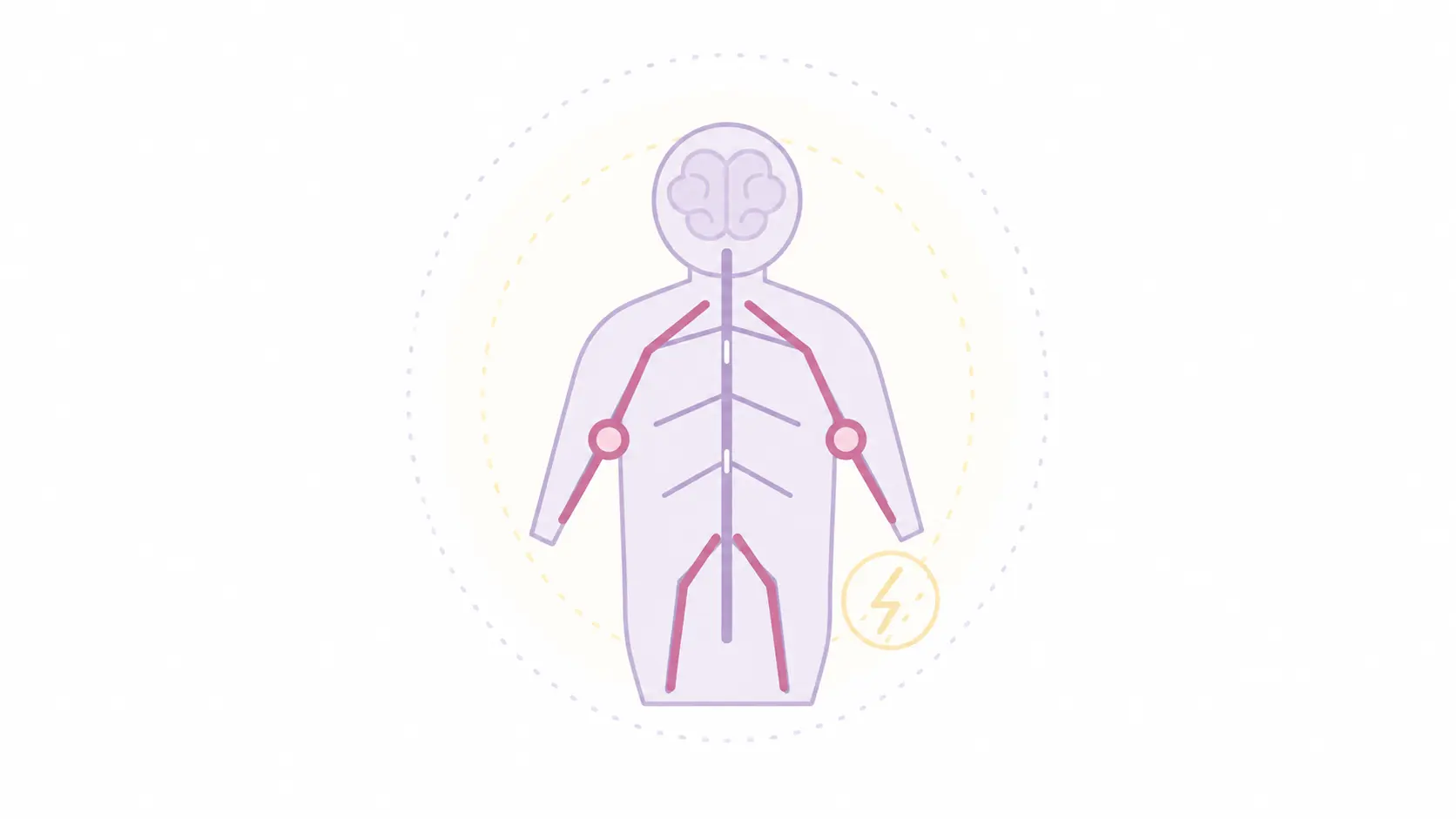 Illustration of the human brain, spinal cord and nervous system with highlighted nerve pathways, representing specialist neurological care and support from Komplex Care.